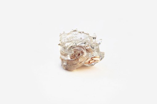 aki-inomata-hermit-crab-shells-designboom-13
